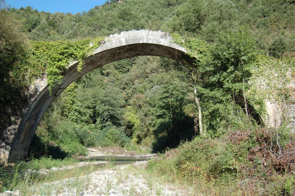 B&B Calabria Scigliano Екстериор снимка