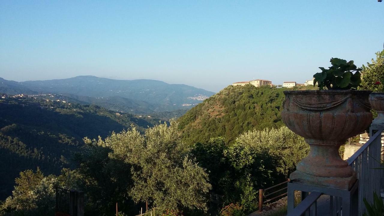 B&B Calabria Scigliano Екстериор снимка